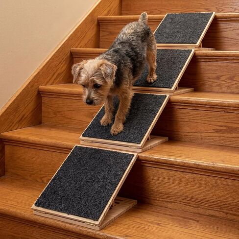 عبوتان من منحدر خشبي قابل للطي للكلاب للسلالم، منحدر مضاد للانزلاق للكلاب للسلالم، لا يتطلب التركيب، للقطط الصغيرة أو المتوسطة، خطوة للحيوانات الأليفة المصابة (11.81 بوصة/ 30 سم) in Kuwait