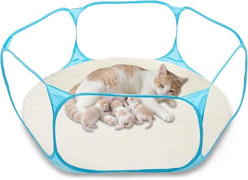 Cat Birthing Box - Foldable, Portable Whelping Nesting Box for Pregnant Cats & Dogs with Easy Storage, Indoor/Outdoor Puppy & Kitten House, Pet Birth & Whelping Pool Nursing Essentials Supplies Kit in Kuwait