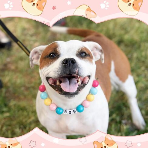 Quelay شخصية DIY مطرز الياقات الكلب قابل للتعديل اسم الرسالة الملونة كبيرة مطرز طوق سوار للكلاب الصغيرة والمتوسطة والكبيرة هدايا محبي الكلاب in Kuwait