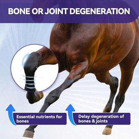 Horse Joint Supplement with Glucosamine, MSM & Chondroitin – Daily Equine Support for Mobility & Cartilage – Easy-to-Feed Powder-Tub 750g in Saudi Arabia