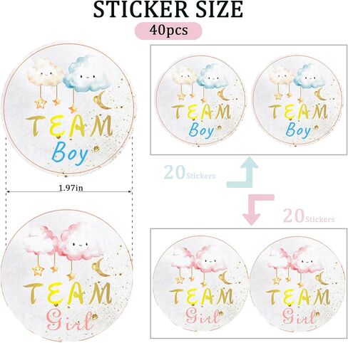 Twinkle Twinkle Little Star Gender Reveal Decorations - TrinhGuo Gender Reveal Ideas, Decoracion Para Revelacion De Sexo De Bebe, Mommy & Daddy To Be Badge Pins and 40 PCS Team Boy Or Girl Stickers in Saudi Arabia