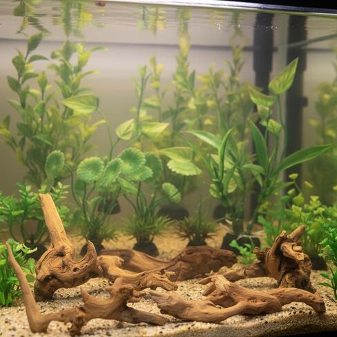 16 Pcs Aquarium Decor Fish Tank Decorations Include 6 Small Natural Coral Driftwood Spiderwood and 10 Green Plastic Plants for Reptile Terrarium Accessories Goldfish Tank Decor in Saudi Arabia