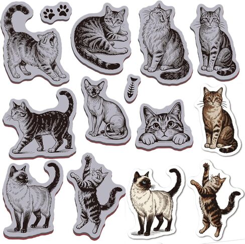 طوابع مطاطية لحيوانات القطط من GLOBLELAND مقاس 22 × 18 سم من ماين سيامي إيفا Cling Mount Stamps مجموعة طوابع مطاطية للقطط البرتقالية لصنع البطاقات وألبوم الصور والديكور DIY سكرابوكينغ in Kuwait