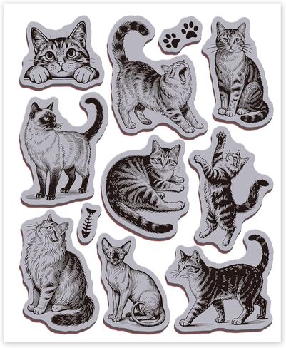طوابع مطاطية لحيوانات القطط من GLOBLELAND مقاس 22 × 18 سم من ماين سيامي إيفا Cling Mount Stamps مجموعة طوابع مطاطية للقطط البرتقالية لصنع البطاقات وألبوم الصور والديكور DIY سكرابوكينغ in Kuwait