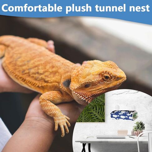 حقيبة نوم من القطيفة للزواحف، حقيبة نوم للزواحف، وسادة للحيوانات الأليفة الصغيرة، حقيبة نوم مريحة من القطيفة للسحالي، إغوانا الفهد (أزرق) in Kuwait