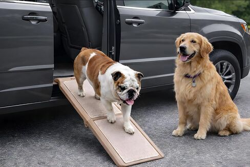 Pet Gear SupertraX Ramps for Dogs and Cats, Maximum Traction Surface, Portable/Easy-Fold (No Tools Required), Built in Handle for Travel, 5 Models, 42" L X 16" W, Supports 150 lbs, Wheat in Saudi Arabia