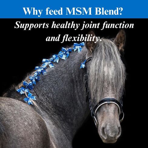 مكمل مفاصل الحصان SU-PER MSM Blend - يساعد في الحفاظ على حركة المفاصل ومرونتها في الخيول - 2.5 رطل in Kuwait