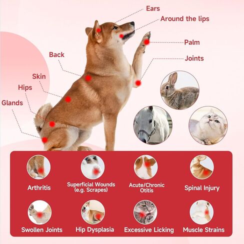 5000mAh Cold Laser Therapy Device for Dogs with 3 Levels, 5 * 808nm & 10 * 650nm Vet Laser Treatment for Joint with Magnetic Cover, Pets NIR Infrared Red Light Therapy for Cats Horse Pain Relief in Saudi Arabia