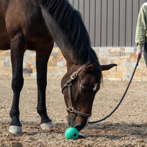 PetKORE: KoreFlex Ball & Tail - Horse-Equine Toy, 4.75" Green Ball, Shape Maintaining Rubber, Durable Strap, Treat Stuffing Center, Toss-Bounce-Play in Saudi Arabia