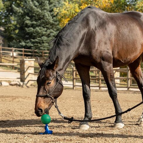 PetKORE: KoreFlex Ball & Tail - Horse-Equine Toy, 4.75" Green Ball, Shape Maintaining Rubber, Durable Strap, Treat Stuffing Center, Toss-Bounce-Play in Saudi Arabia