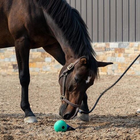 PetKORE: KoreFlex Ball & Tail - Horse-Equine Toy, 4.75" Green Ball, Shape Maintaining Rubber, Durable Strap, Treat Stuffing Center, Toss-Bounce-Play in Saudi Arabia