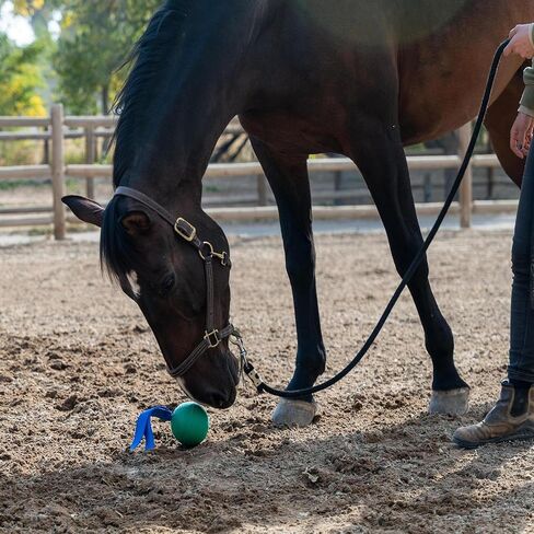PetKORE: KoreFlex Ball & Tail - Horse-Equine Toy, 4.75" Green Ball, Shape Maintaining Rubber, Durable Strap, Treat Stuffing Center, Toss-Bounce-Play in Saudi Arabia