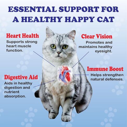 Taurine Supplement for Cats,PurrVita Taurine- 99.9% Pure Taurine Supports Vitality & Coat Health, Easy to Mix in Food, with Dosing Spoon, 200g in Saudi Arabia