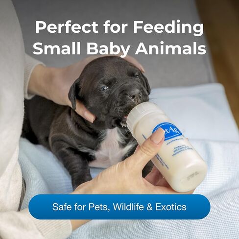 PetAg Nursing Kit - 2 oz, Pack of 2 - Promotes The Natural Feeding of Liquids to Baby Animals - Each Kit Includes 2 oz. Bottle with Cap, 5 Nipples & Cleaning Brush in Saudi Arabia