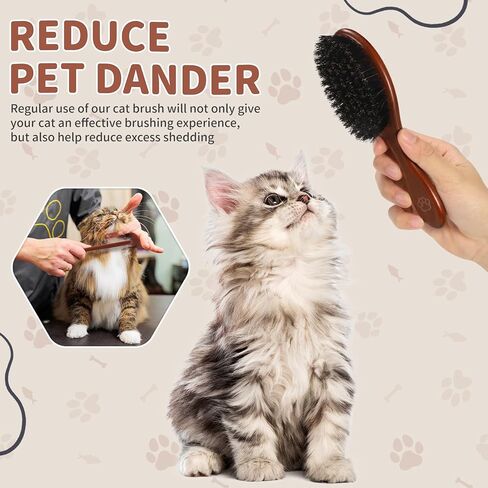 فرشاة ومشط خشبيان للقطط، فرشاة شعر القطط بشعيرات الخنزير البحرية لتقليل تساقط الشعر والحفاظ على لمعان صحي، أداة يومية للعناية بالحيوانات الأليفة للكلاب والقطط in Kuwait