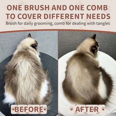 فرشاة ومشط خشبيان للقطط، فرشاة شعر القطط بشعيرات الخنزير البحرية لتقليل تساقط الشعر والحفاظ على لمعان صحي، أداة يومية للعناية بالحيوانات الأليفة للكلاب والقطط in Kuwait