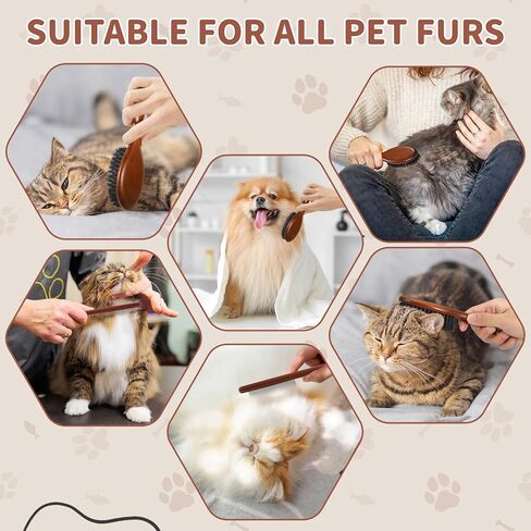 فرشاة ومشط خشبيان للقطط، فرشاة شعر القطط بشعيرات الخنزير البحرية لتقليل تساقط الشعر والحفاظ على لمعان صحي، أداة يومية للعناية بالحيوانات الأليفة للكلاب والقطط in Kuwait