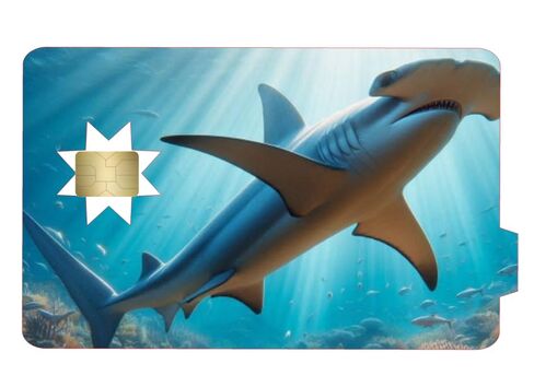 Hammerhead Shark بطاقة الخصم الجلد بطاقة الائتمان الجلد ملصقات بطاقة الائتمان المخصصة غطاء بطاقة الجلد ملصق بطاقة الائتمان يغطي الجلد، غطاء ملصق بطاقة الخصم - جلود من تلك الصفعات! in Kuwait