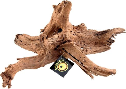 Galápagos (05285) Sinkable Driftwood Bed, Natural, Medium/11-13" in Saudi Arabia