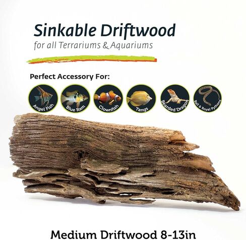 Galápagos (05285) Sinkable Driftwood Bed, Natural, Medium/11-13" in Saudi Arabia