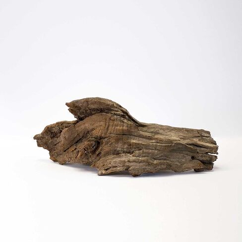 Galápagos (05285) Sinkable Driftwood Bed, Natural, Medium/11-13" in Saudi Arabia