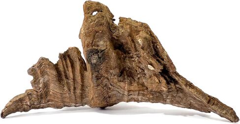 Galápagos (05285) Sinkable Driftwood Bed, Natural, Medium/11-13" in Saudi Arabia