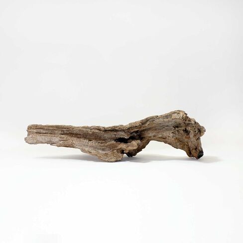 Galápagos (05285) Sinkable Driftwood Bed, Natural, Medium/11-13" in Saudi Arabia