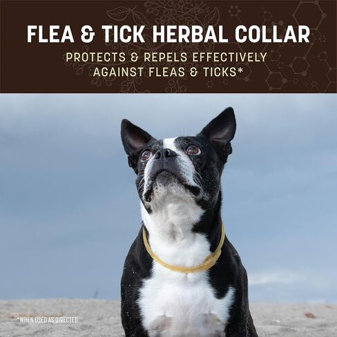 Earth Animal Apothecary Natural Flea & Tick - Herbal Collar for Small Dogs & Puppies - 1 Collar in Saudi Arabia