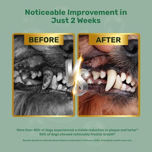 Dog Dental Powder, Dog Teeth Natural Cleaning Powder, Dogs Breath Freshener, Enzymes & Probiotic with Plaque and Tartar Off, Pets Tooth Cleaning 150g/5.3 oz in Saudi Arabia