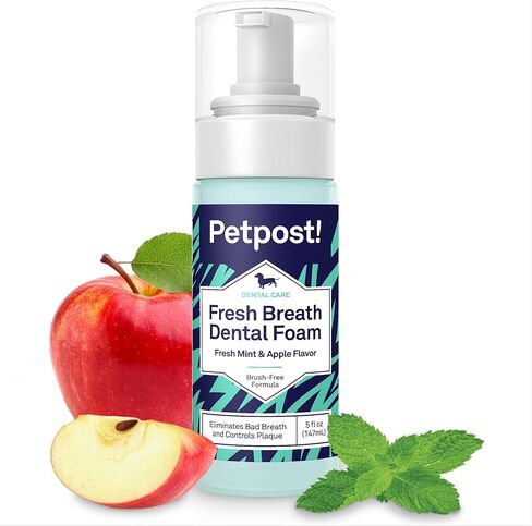Petpost | Fresh Breath Foam for Dogs - Mint & Apple Flavored Dental Solution That Eliminates Bad Breath - Natural Tooth Cleaning Treatment 5 oz. in Saudi Arabia