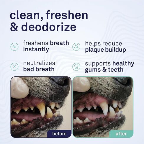 Petpost | Fresh Breath Foam for Dogs - Mint & Apple Flavored Dental Solution That Eliminates Bad Breath - Natural Tooth Cleaning Treatment 5 oz. in Saudi Arabia