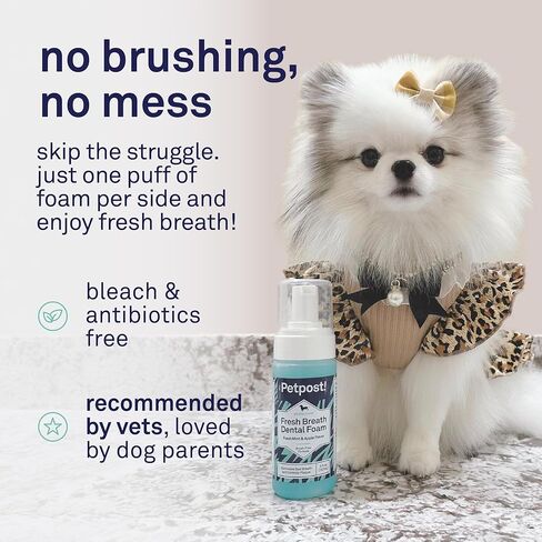 Petpost | Fresh Breath Foam for Dogs - Mint & Apple Flavored Dental Solution That Eliminates Bad Breath - Natural Tooth Cleaning Treatment 5 oz. in Saudi Arabia