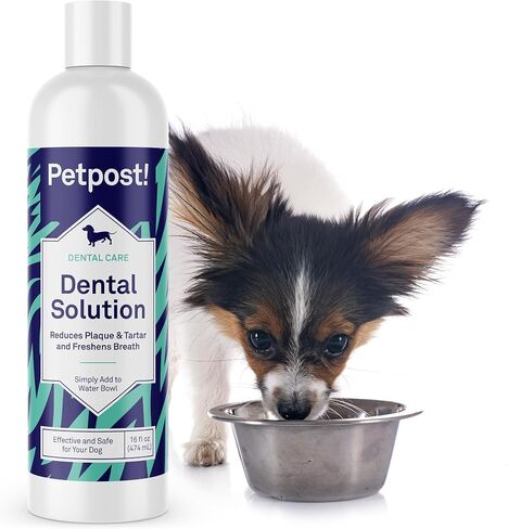 Petpost | Fresh Breath Foam for Dogs - Mint & Apple Flavored Dental Solution That Eliminates Bad Breath - Natural Tooth Cleaning Treatment 5 oz. in Saudi Arabia