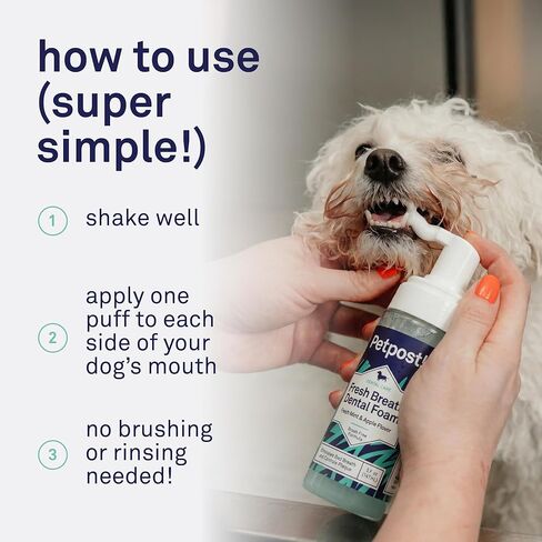 Petpost | Fresh Breath Foam for Dogs - Mint & Apple Flavored Dental Solution That Eliminates Bad Breath - Natural Tooth Cleaning Treatment 5 oz. in Saudi Arabia