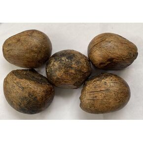لوازم الفنون والحرف اليدوية من Tagua Nut - 10 قطع من مستلزمات الفنون والحرف الإكوادورية من Tagua Nut | القطر ≥ 1.18 بوصة | استيراد كاماليون