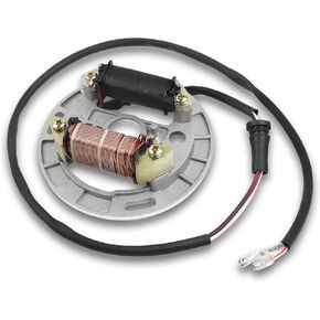 FLYPIG New Stator for Suzuki LT 80 LT80 Quadsport 1987-2006 Kawasaki KFX 80 2003-2006