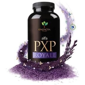 Alfa PXP Royale 150 grm 30 Servings by Enzacta by Enzacta PXP