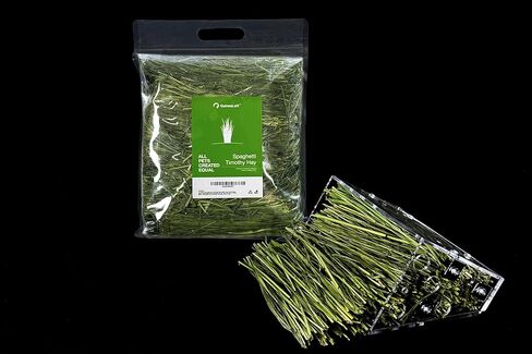 GuineaLoft™ Spaghetti Timothy Hay - قش ممتاز، منظف ومجفف بشكل مبتكر، أخضر طبيعي ومستقيم، عبوة صغيرة، خالي من الفوضى، أقصى قدر من النكهة - حصريًا من غينيا لوفت in Kuwait