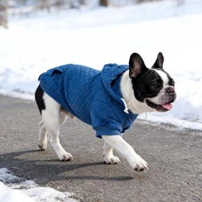 KOOLTAIL Dog Hoodie for Small Medium Large Dogs, Ultra-Warm & Soft Winter Fall Fleece Dog Hooded Sweatshirt Clothes Sweater, Lightweight Pullover Coat for Boy Girl Bulldog Pitbull Puppy Cats,Blue M-L in Kuwait