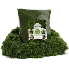 16oz طحلب أخضر مزيف للحرف اليدوية، طحلب صناعي لديكور النباتات بوعاء، طحالب كبيرة للاستخدام الداخلي/الخارجي، ترتيبات الزهور DIY، مرابي حيوانات وحدائق خرافية (أخضر داكن) in Kuwait