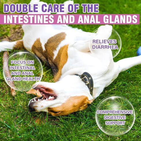 مضغ ناعم للغدة الشرجية للكلاب، 150 وقف سكوت للكلاب، يدعم وظيفة الأمعاء للغدة الشرجية، مكمل من الألياف الصحية الهضمية، مكملات اليقطين للكلاب، إسهال الحيوانات الأليفة، دعم الأمعاء، البروبيوتيك الهضمي (نكهة الدجاج) in Kuwait