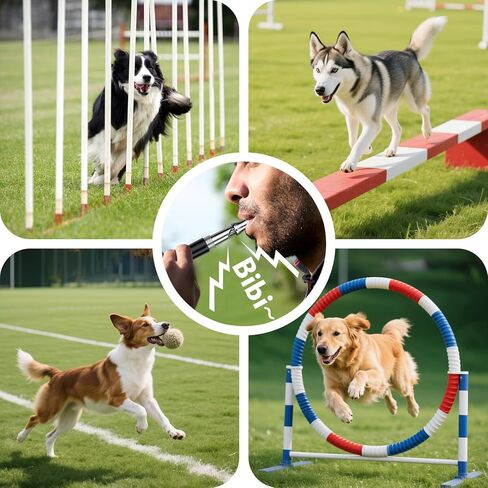 Dog Whistle, 2 Pack Dog Training Whistle with Lanyard, Adjustable Ultrasonic Silent Dog Recall Whistles, Professional Dog Whistle to Stop Barking Neighbors Dog in Kuwait