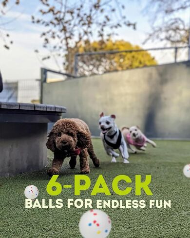 2.5" Dog Balls for Automatic Dog Ball Launcher, Remote Control Ball Thrower for Dogs (6-Pack) in Saudi Arabia
