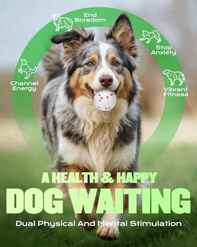 2.3" Balls for Automatic Dog Ball Launcher Interactive Ball Thrower (White-6 Balls) in Saudi Arabia