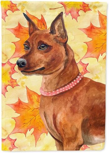 علم الخريف المصغر Pinscher - مقاس منزل من القماش in Kuwait