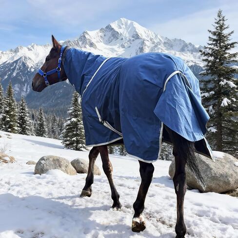 Horse Turnout Blanket, Medium Weight Winter Blanket for Horses, 220g Filling,1200 Denier Waterproof &Breathable/Detachable Neck Cover (Navy Blue, US78IN(EU145CM)) in Saudi Arabia