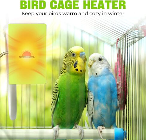 سخان الطيور للقفص، سخان الطيور لتدفئة الطيور في قفص الطيور الببغاء الجهد الناتج 12 فولت in Kuwait