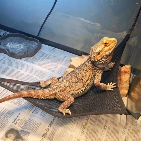 4 قطع أرجوحة Axolotl لحوض السمك، أرجوحة Geckos، أرجوحة زواحف شبكية قابلة للتنفس، منحدر / سرير مناسب للزواحف، يناسب التنانين الملتحية وLeopard Geckos in Kuwait