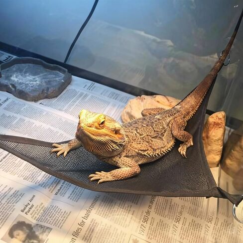 4 قطع أرجوحة Axolotl لحوض السمك، أرجوحة Geckos، أرجوحة زواحف شبكية قابلة للتنفس، منحدر / سرير مناسب للزواحف، يناسب التنانين الملتحية وLeopard Geckos in Kuwait