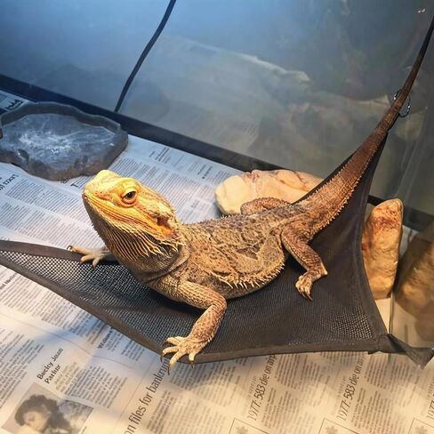 4 قطع أرجوحة Axolotl لحوض السمك، أرجوحة Geckos، أرجوحة زواحف شبكية قابلة للتنفس، منحدر / سرير مناسب للزواحف، يناسب التنانين الملتحية وLeopard Geckos in Kuwait
